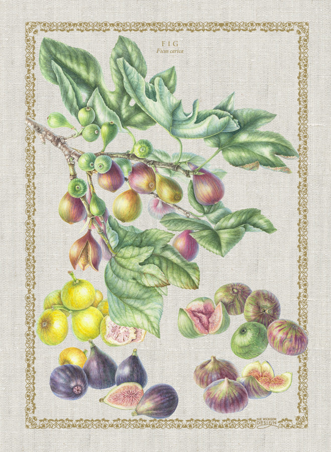 Tea Towel Figs - Linen