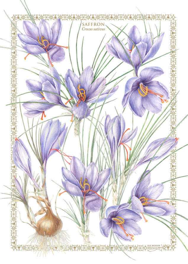 Tea Towel Crocuses - Cotton