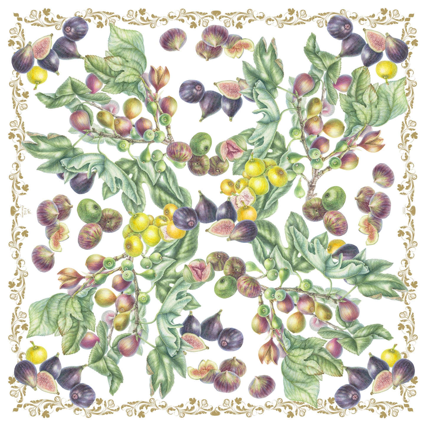 Silk & Wool Scarf - Figs