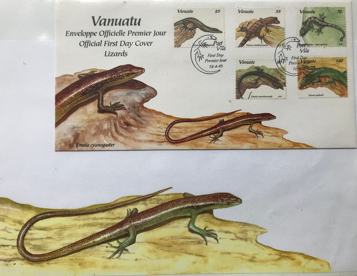 Lizards - Mourning Gecko