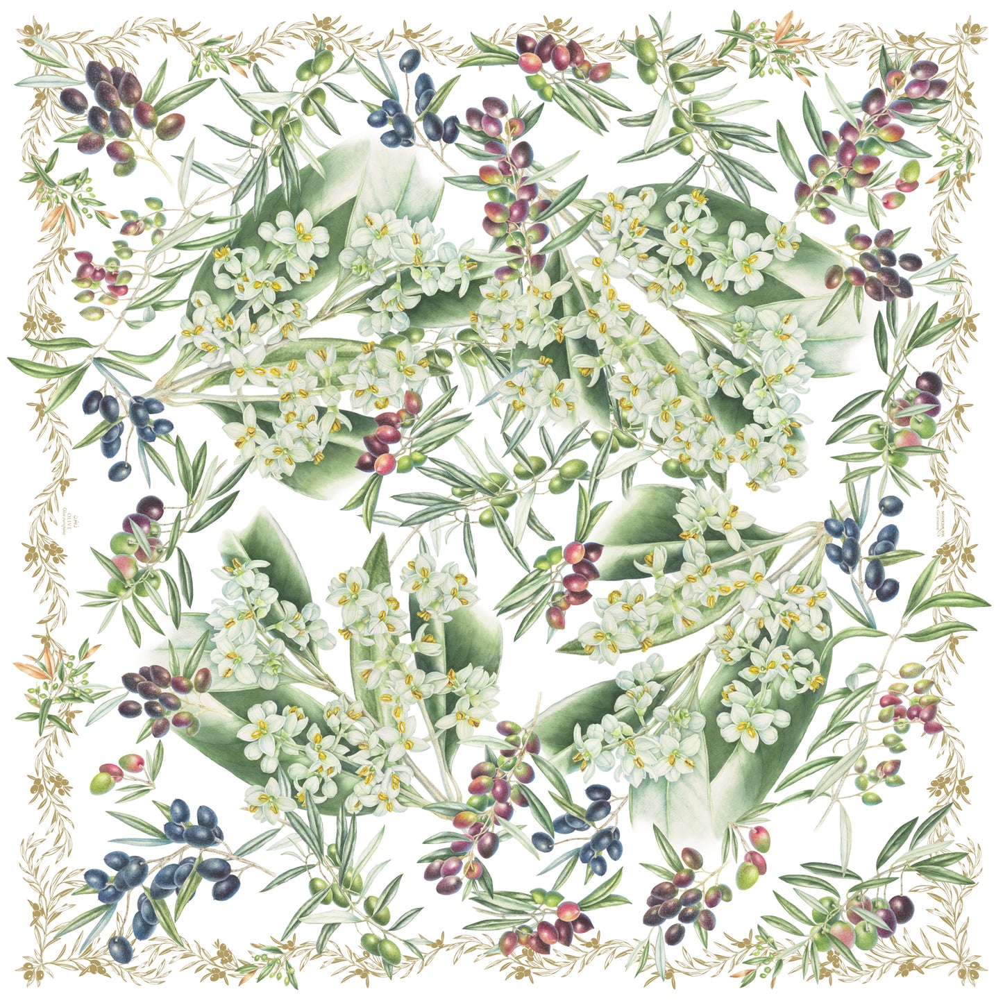 Silk & Wool Scarf - Olives