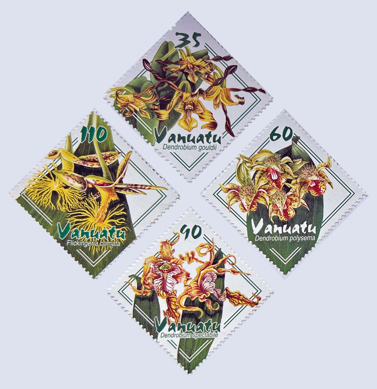 Vanuatu Orchids