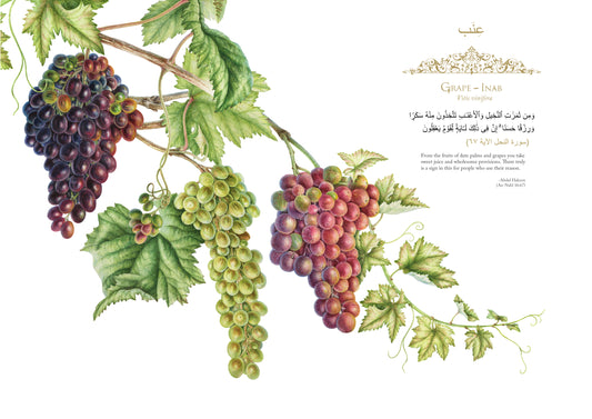Grape