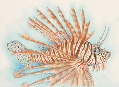 Lionfish