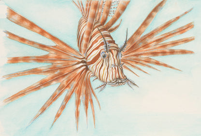 Lionfish