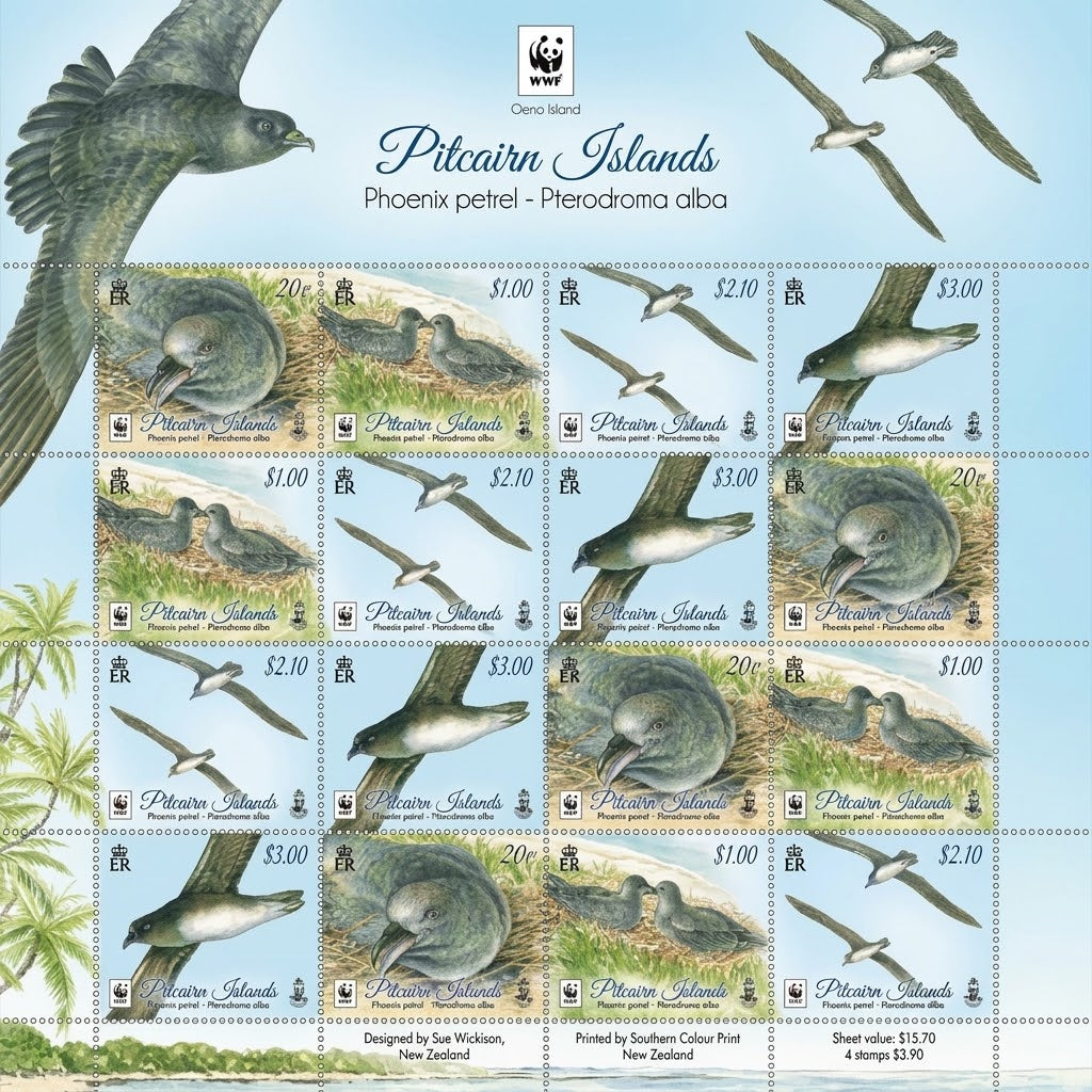Phoenix petrel