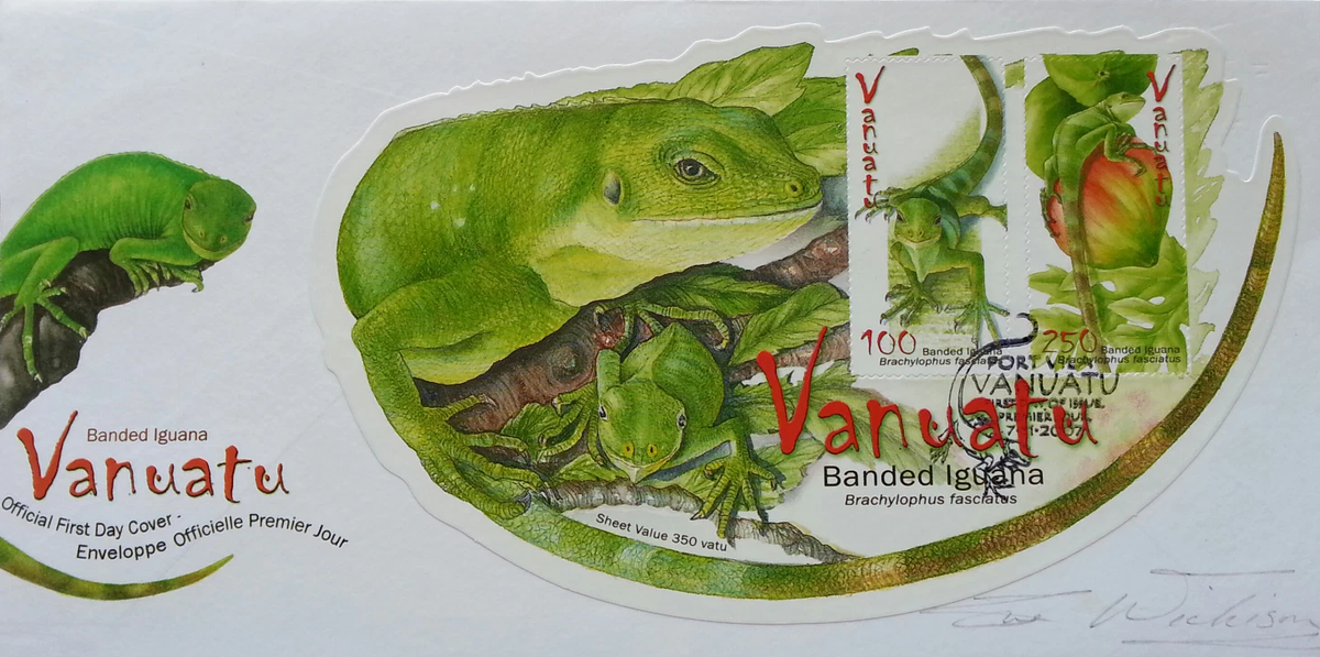 Lizards - Banded Iguana