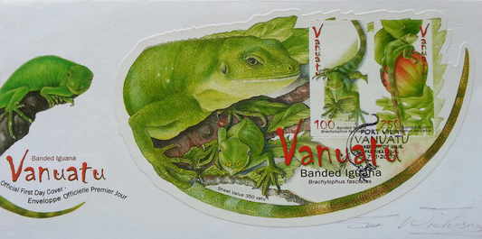 Lizards - Banded Iguana