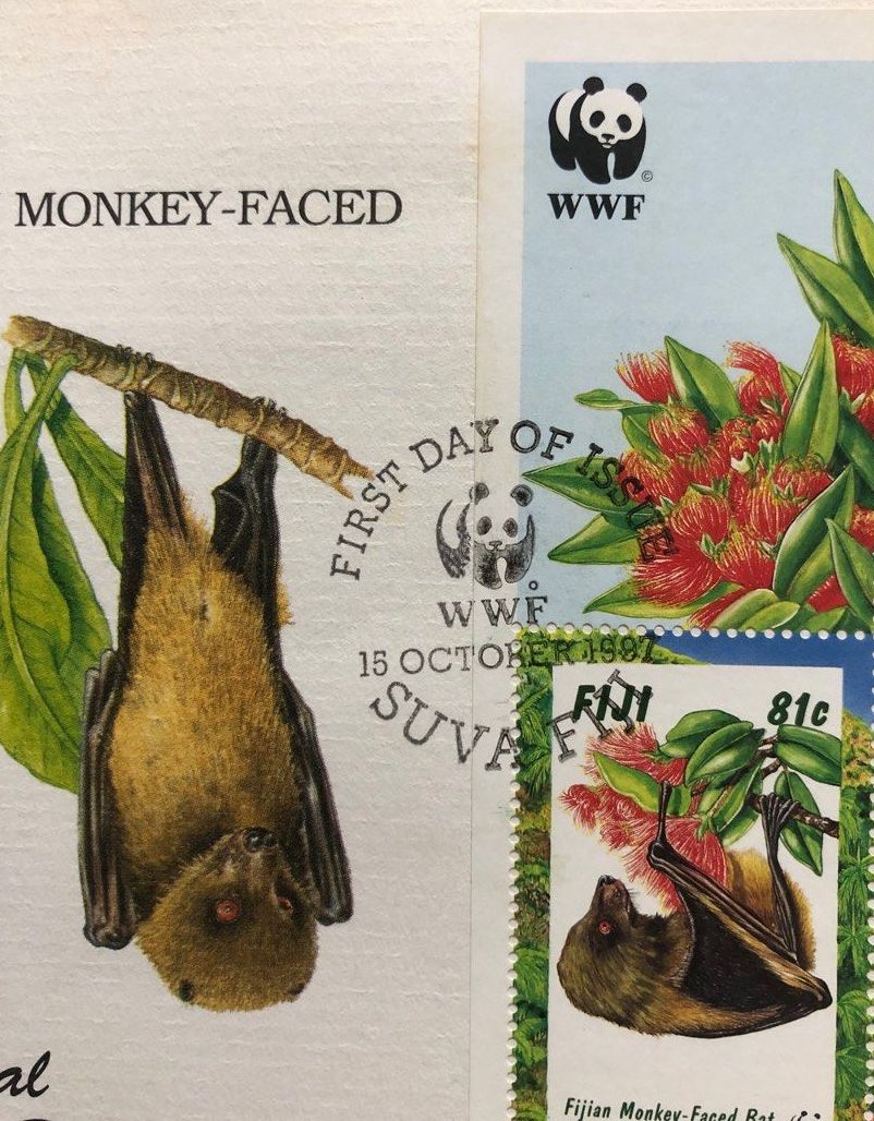 Monkey-faced Bat