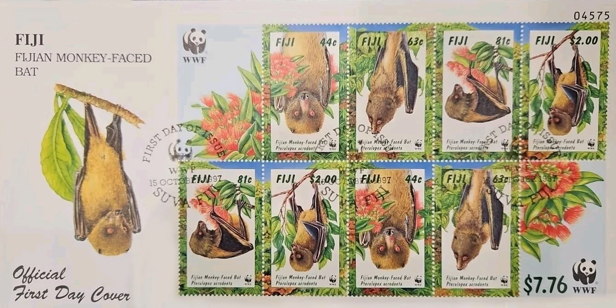 Monkey-faced Bat