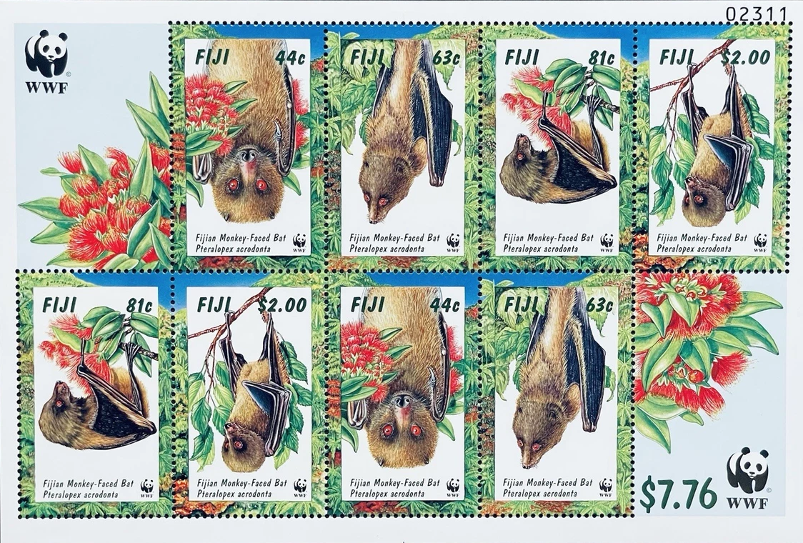 Monkey-faced Bat