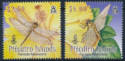 فطريات Phormium tenax Tui تتغذى على الكتان (تفاصيل)
