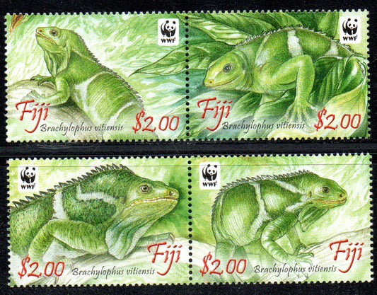 Lizards - Crested Iguana - Sue Wickison