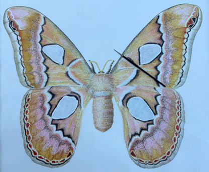 Silk Moth
