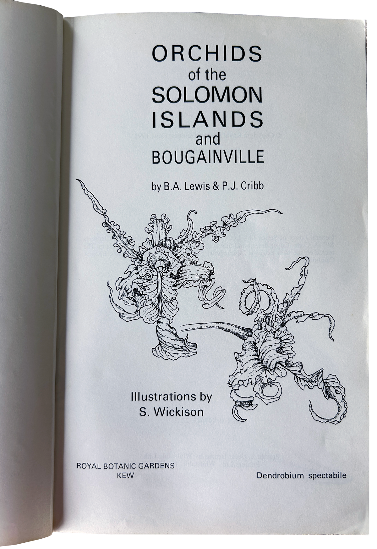 Orchids of the Solomon Islands (Book)