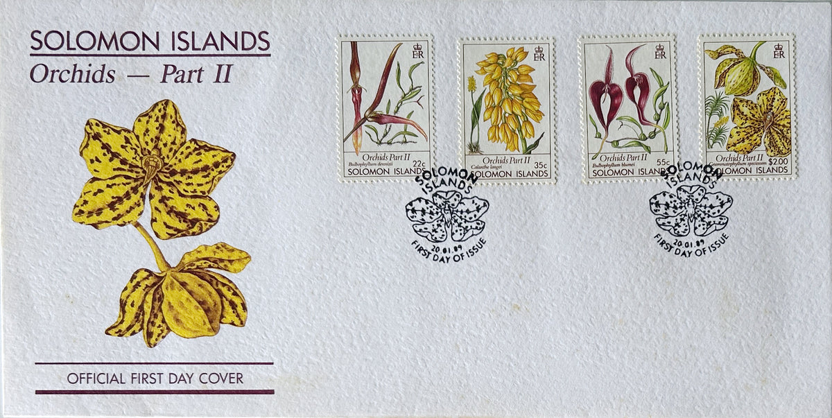 Solomon Island Orchids Part 2