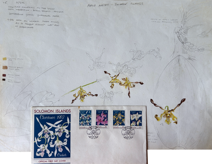 Solomon Island Orchids Part 2