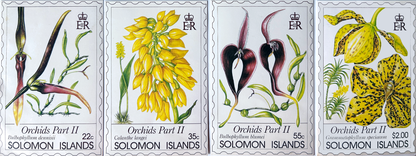 Solomon Island Orchids Part 2